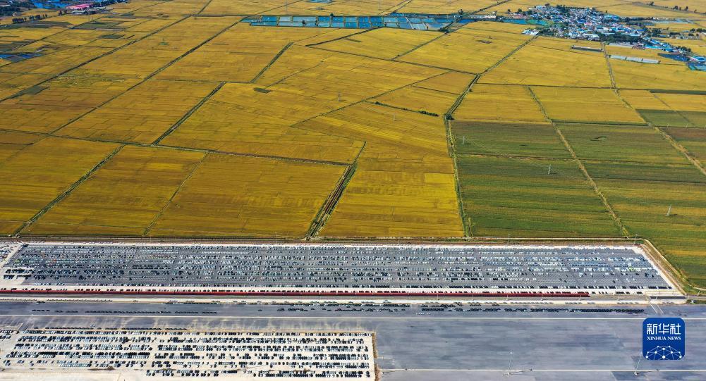 mg赌场线路