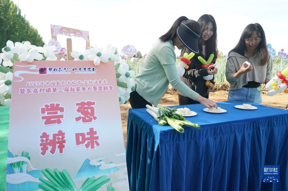 不限ip注册送优惠金